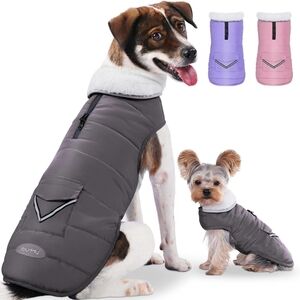 iBuddy Dog Winter Coats with Fleece Vest,Waterproof Warm Dog Snow Jacket
